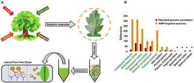 Plant Defense Proteins as Potential Markers for Early Detection of Forest Damage and Diseases